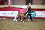SBM_14887