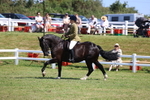 3E7A6992