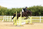 SBM_008629