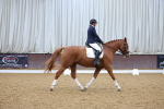 SBM_002347
