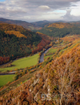 Autumn colours, Coed-y-Brenin
