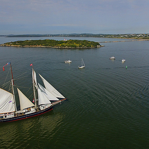 Wylde Swan Tall Ships Rendezvous 2017 Saint John New Brunswick Canada