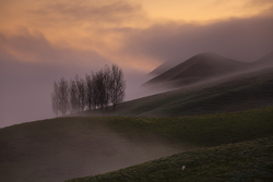 Misty Hilltop
