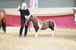 SBM_17593