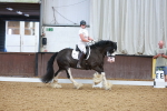 SBM_007446