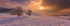 Snowy Sunset