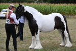 WJ6_5478