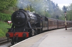 T1074