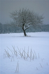 Frozen in Time