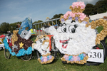 North Show 2017-11