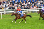 180523-Race 4-The Foxes-9712