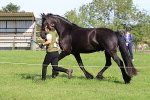 SIAL6176