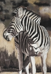 Zebra in Charcoal