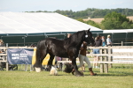 SBM_10331