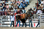3HRodeo7-19-25_CFD_03822_