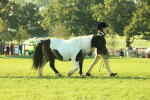 SBM_57286