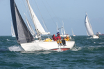 160702 GALATEA OF GILLAN1166Y - ROUND THE ISLAND 2016 - 0J3A3894