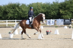 SBM_020260
