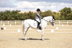 SBM_004968