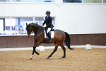 SBM_001426
