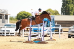 SBM_001861