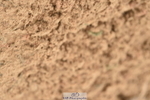 231122A-120040-00254