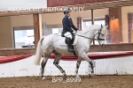 NOVICE 6 portfolio