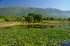Lake Kerkini, Central Macedonia, Greece