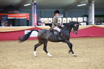 SBM_19313