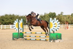 SBM_001608