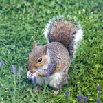 1st June Breakfast Time