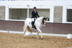 SBM_006909