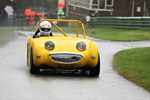 04-10-2020 Pete Wilson-22