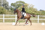 SBM_017376