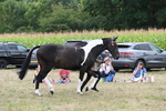 WJ6_5656