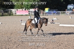 BPP_8303