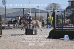 BPP_1087