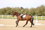 SBM_008065