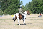 WJ7_2766