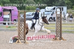 BPP_8255