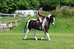3E7A8840