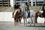 BVRC SJ 170319 159