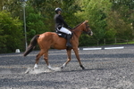 WJ5_9354