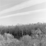 G minor Prelude, Keystone State Park, Pennsylvania 2012