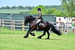 SBM_07929