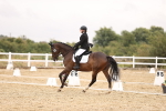 SBM_004562
