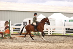 Class 53 - Ridden Competition Horse Pony portfolio