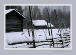 Elimäki V
