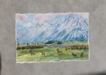 Spring Migrations
