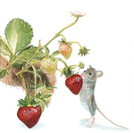 Strawberry thief